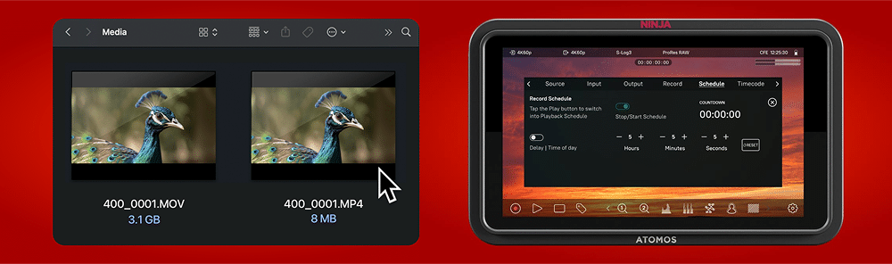 Ninja TX monitoring tools